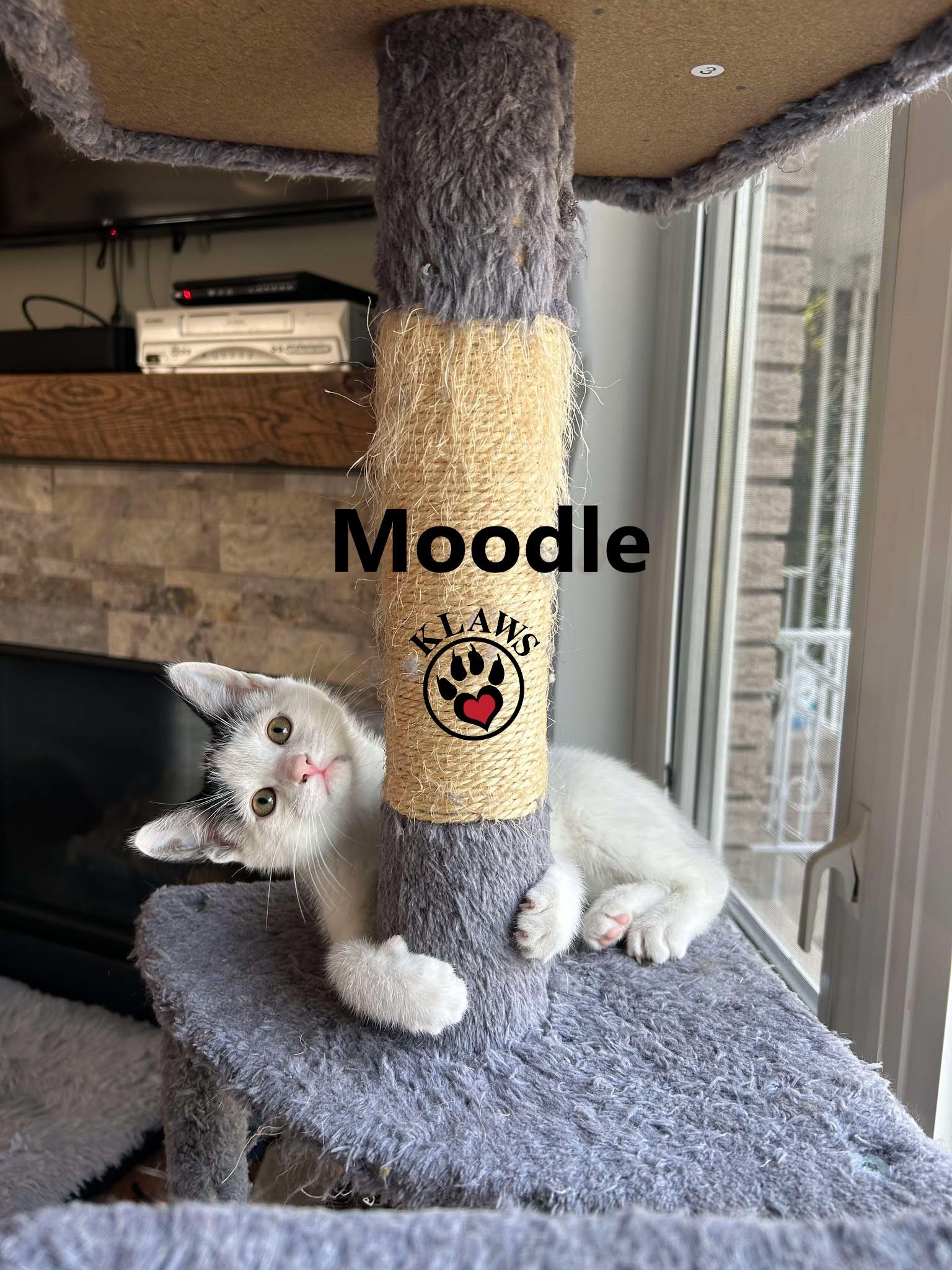 Moodle