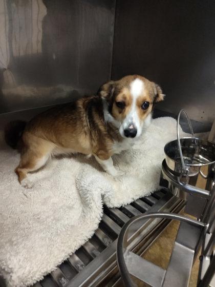 Courtney thumbnail 3