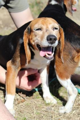 Flossie — thumbnail 2