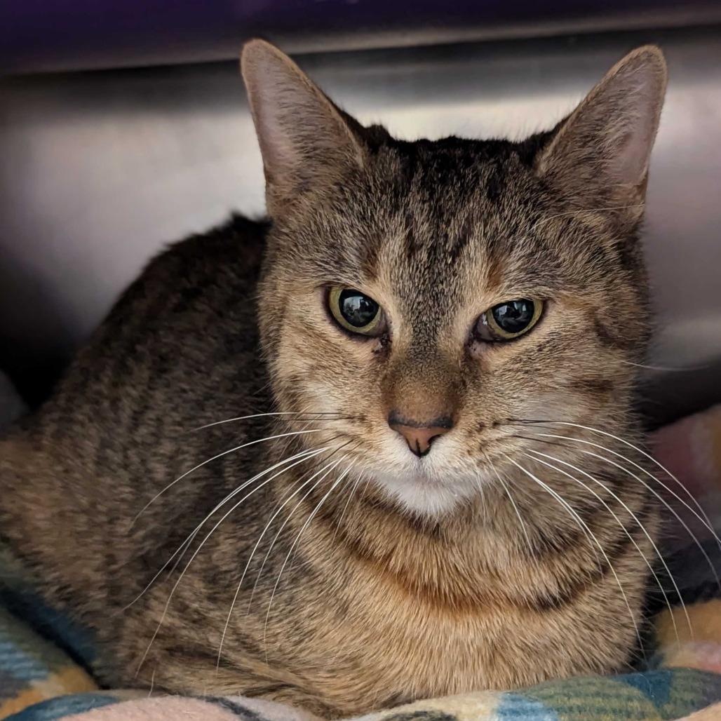 Chloe — thumbnail 3