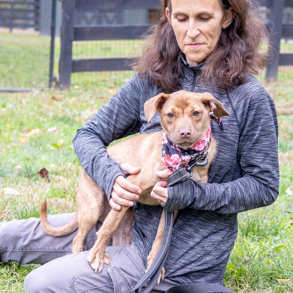 Enlarge Blossum  (Female), a Adoptable mixed breed in West Grove, PA image 3/6