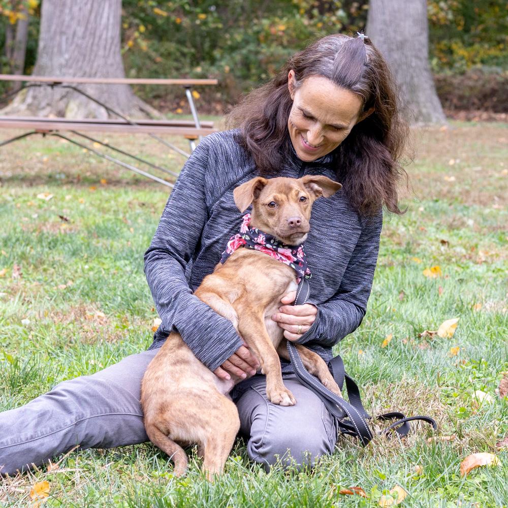 Enlarge Blossum  (Female), a Adoptable mixed breed in West Grove, PA image 6/6