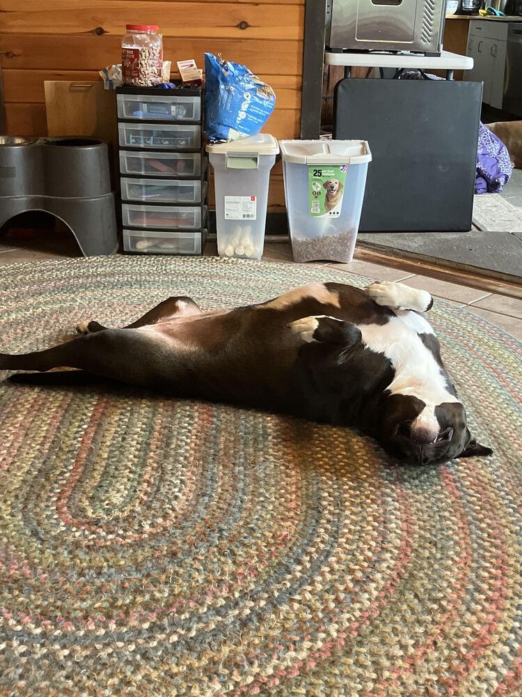 Millie Aka Tina thumbnail 2