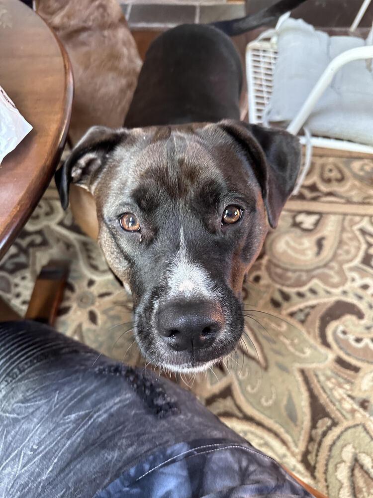 Millie Aka Tina thumbnail 4