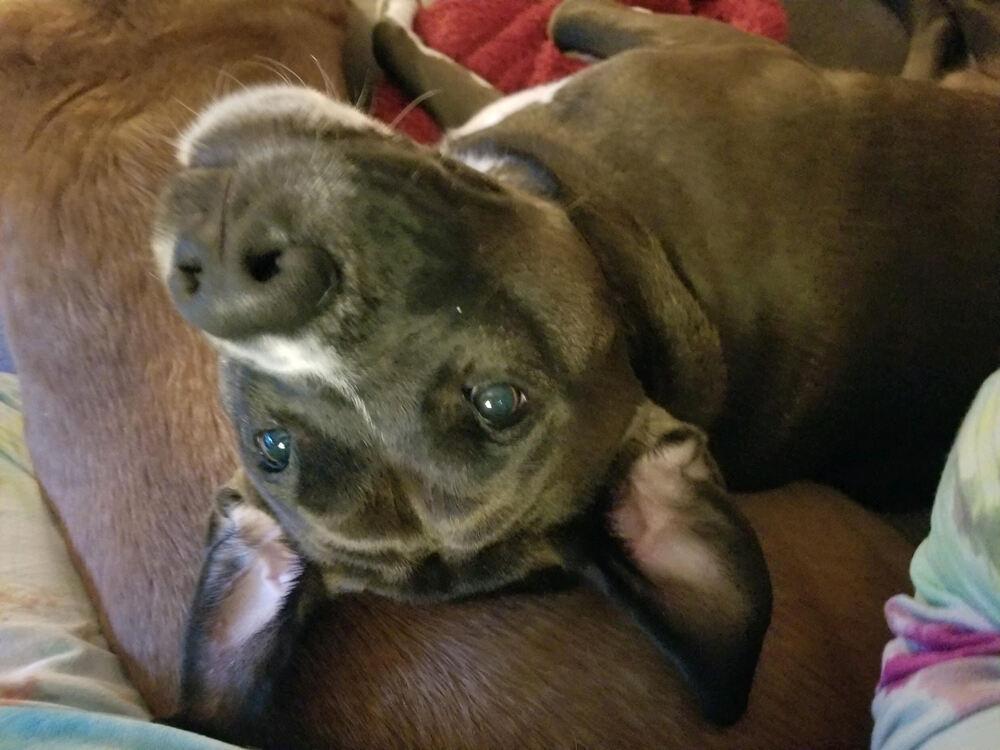 Millie Aka Tina thumbnail 5