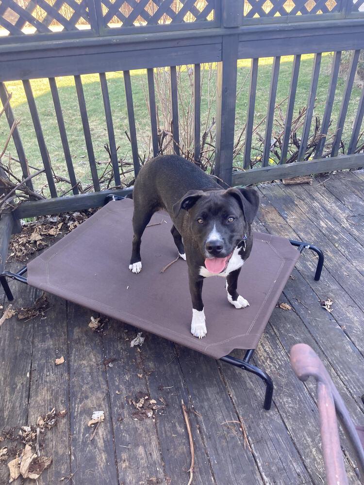 Millie Aka Tina thumbnail 6