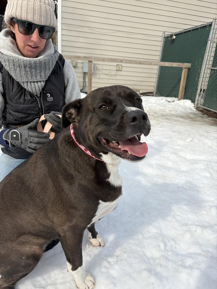 AC - Millie — thumbnail 5