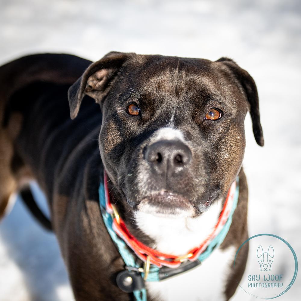 AC - Millie — thumbnail 6