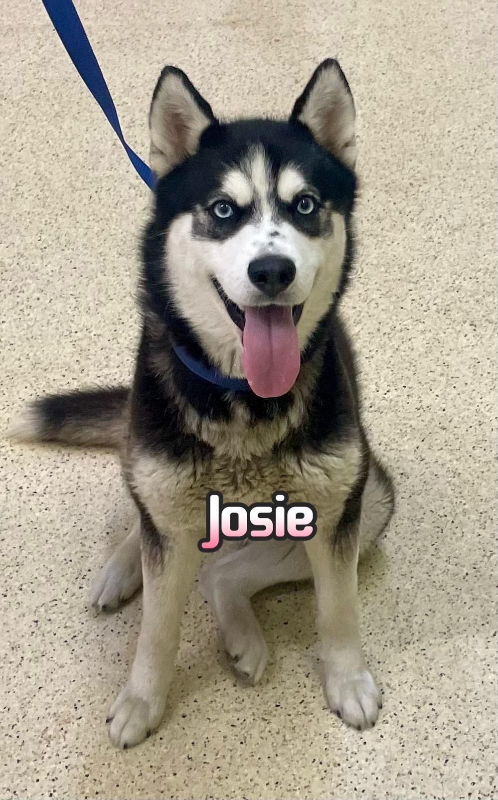 Josie