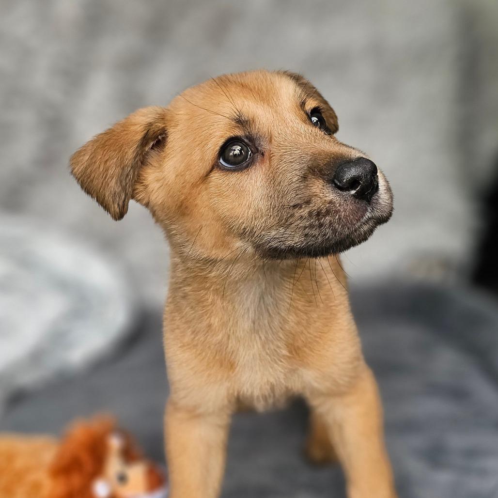 Jake — thumbnail 2