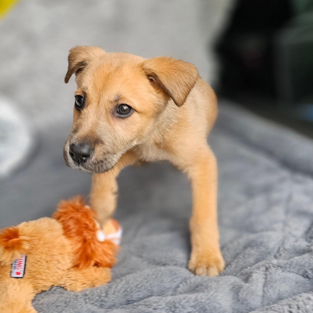 Jake — thumbnail 3