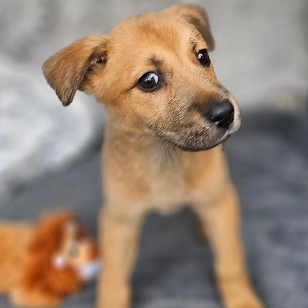 Jake — thumbnail 4