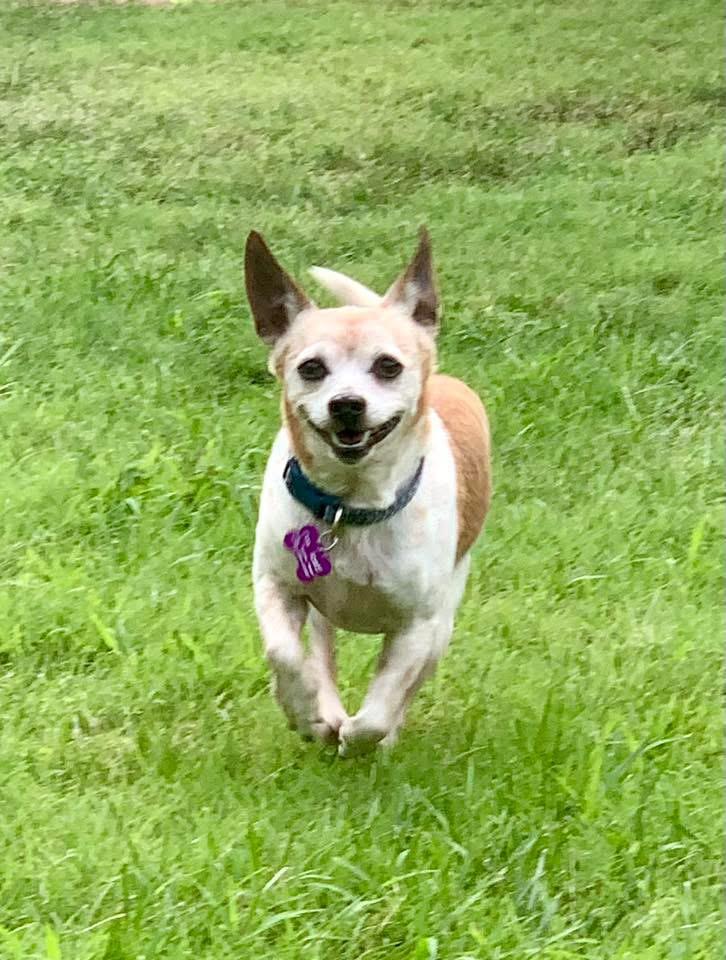 Benny