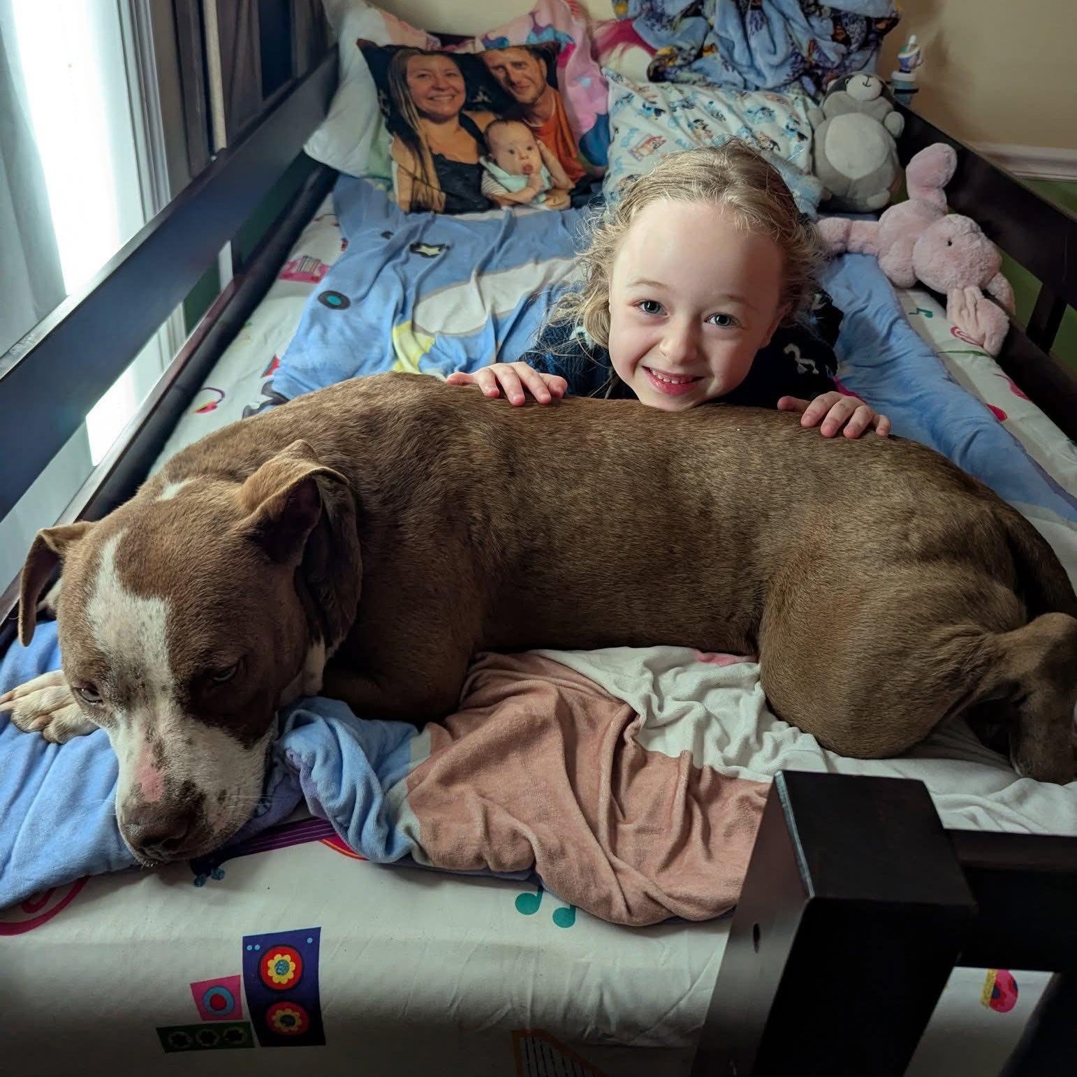 Aurora, an adoptable Terrier in Penfield, NY, 14526 | Photo Image 2