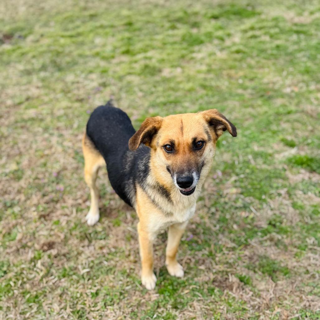 Greenie — thumbnail 2