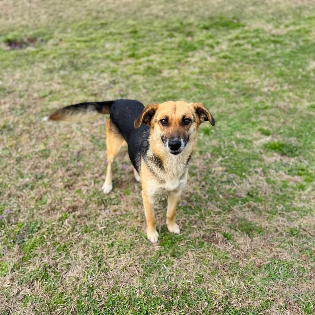 Greenie — thumbnail 3