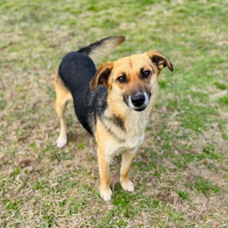 Greenie — thumbnail 4