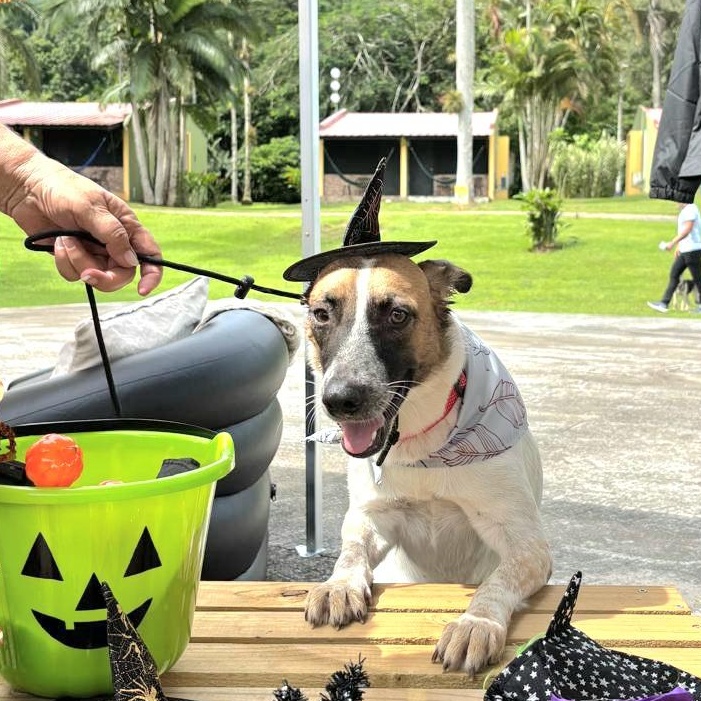 Clara Eve "i Am thumbnail 2