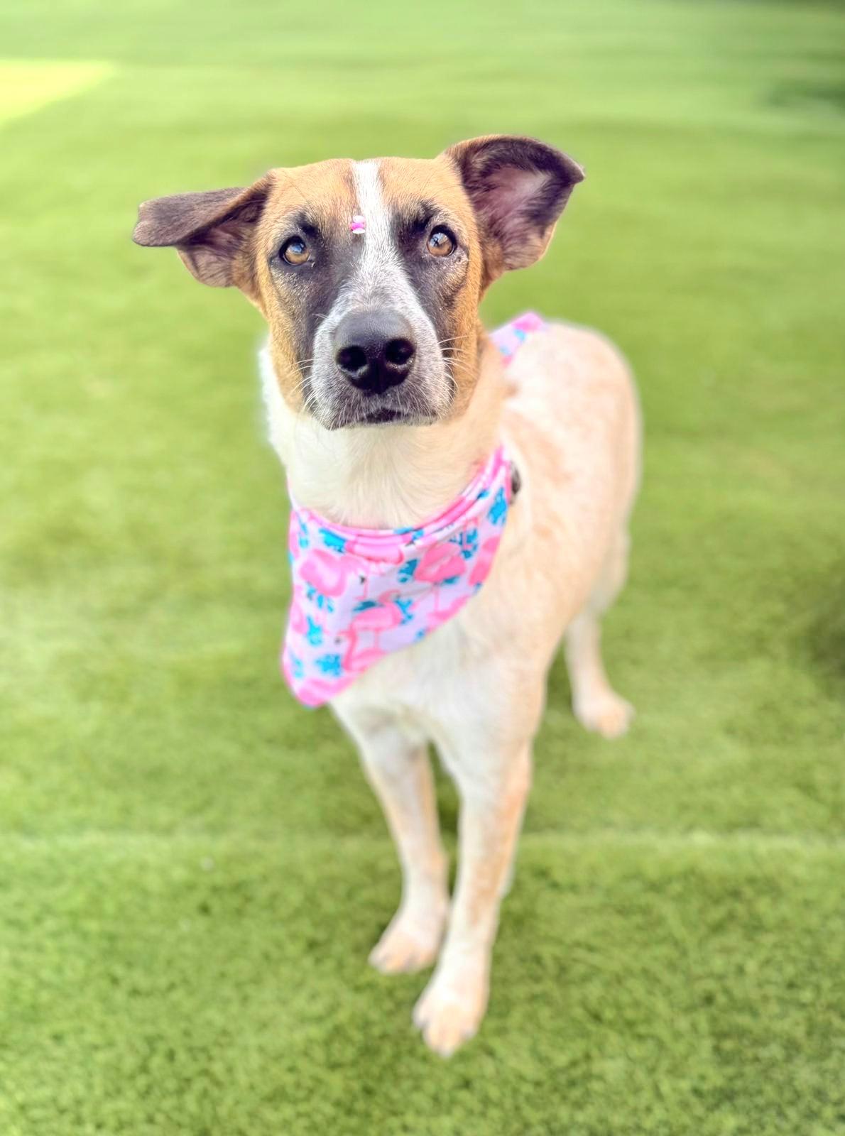 Clara Eve "i Am thumbnail 6