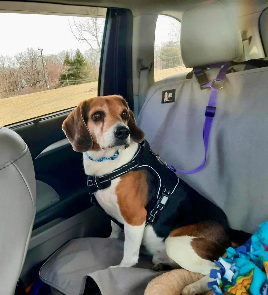 Finbar Baldwin thumbnail 3