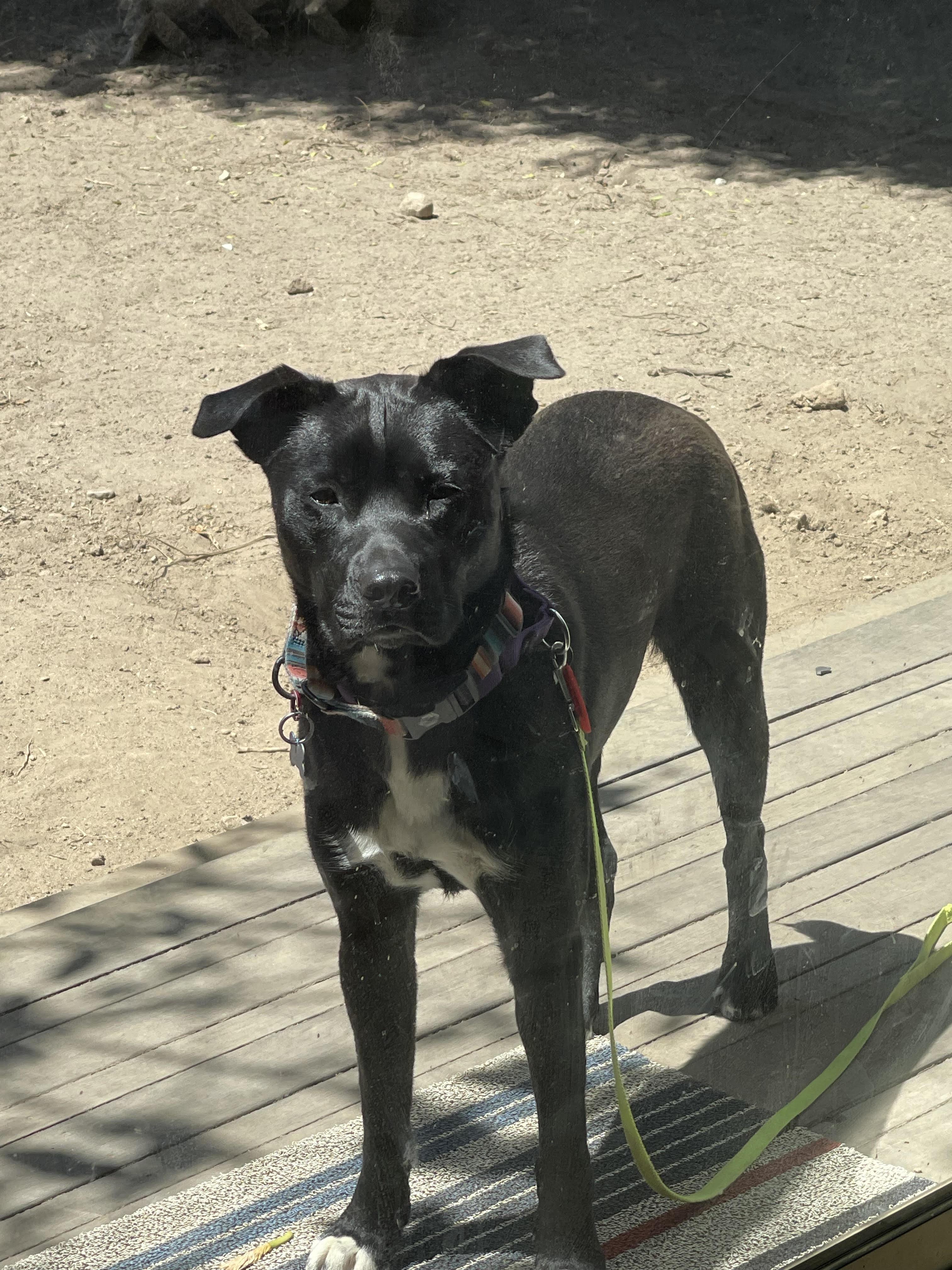 Rudy - Courtesy Post