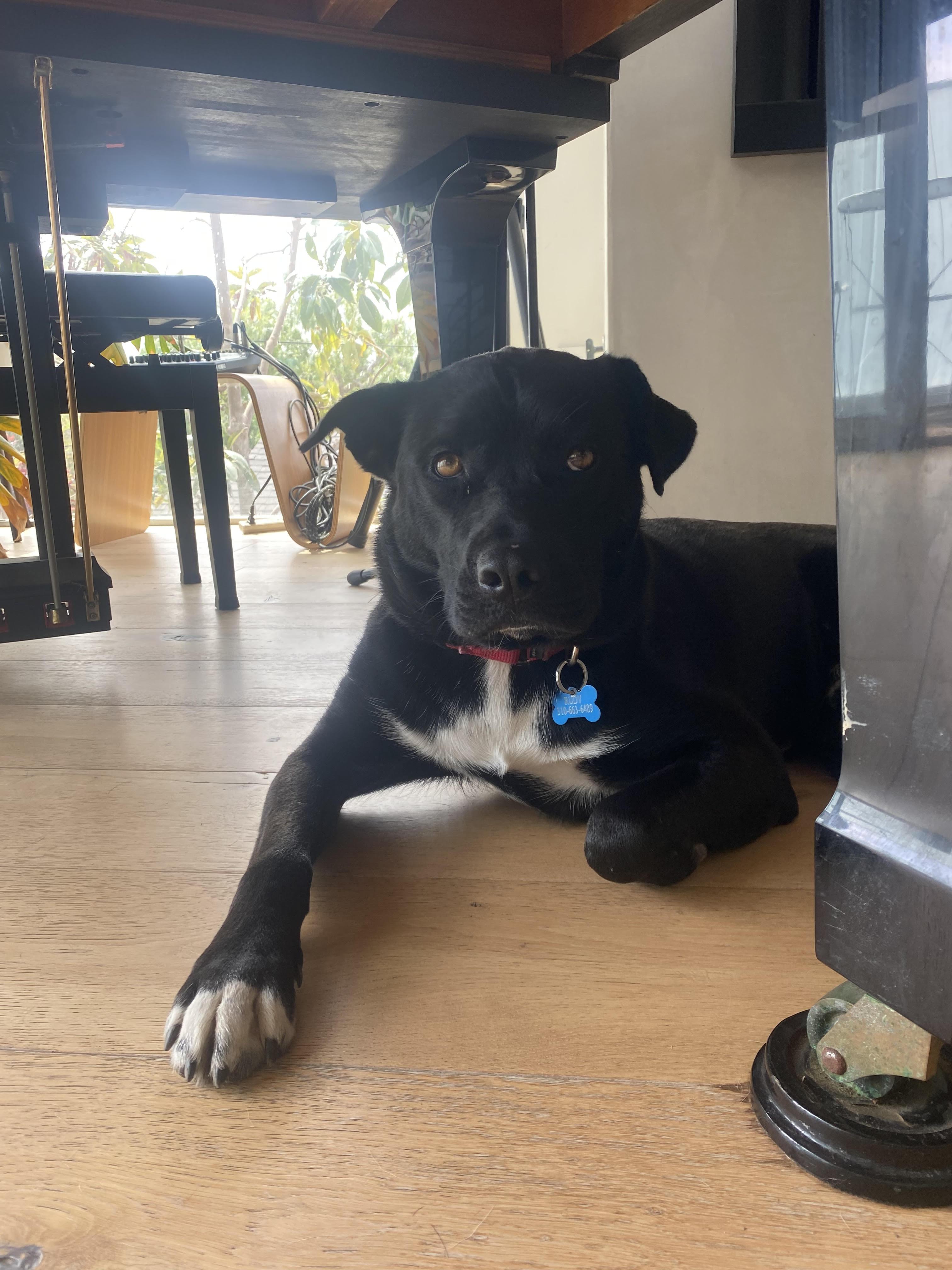 Rudy - Courtesy Post