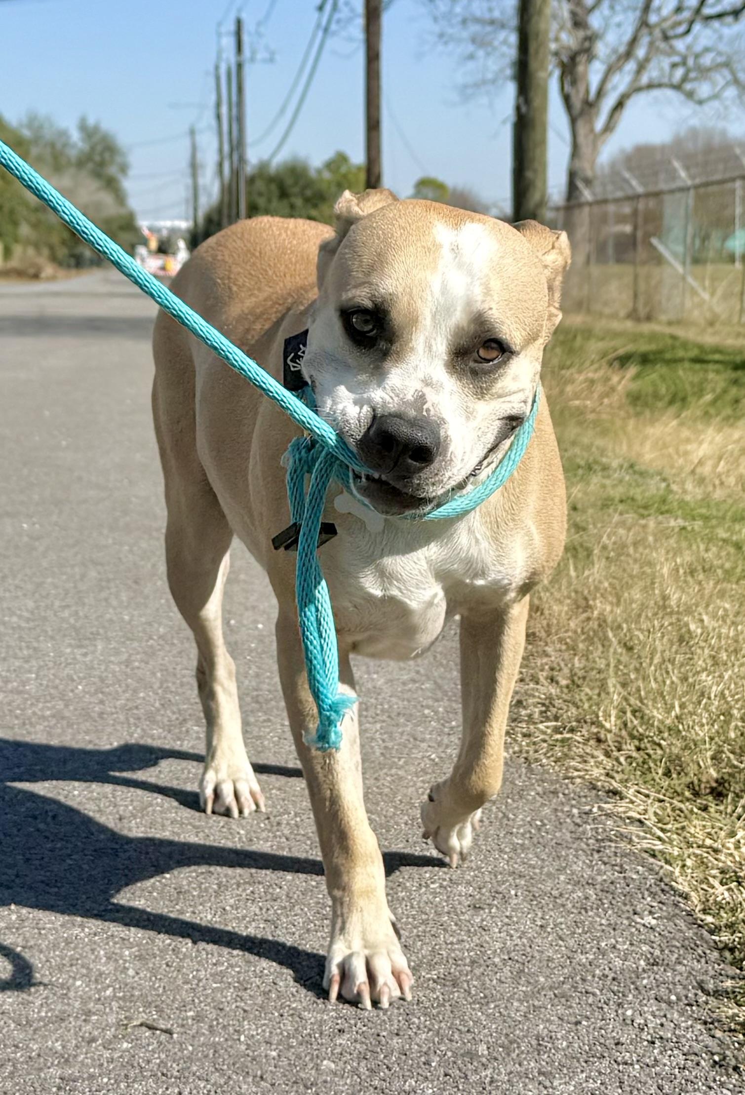 Wynn — thumbnail 2