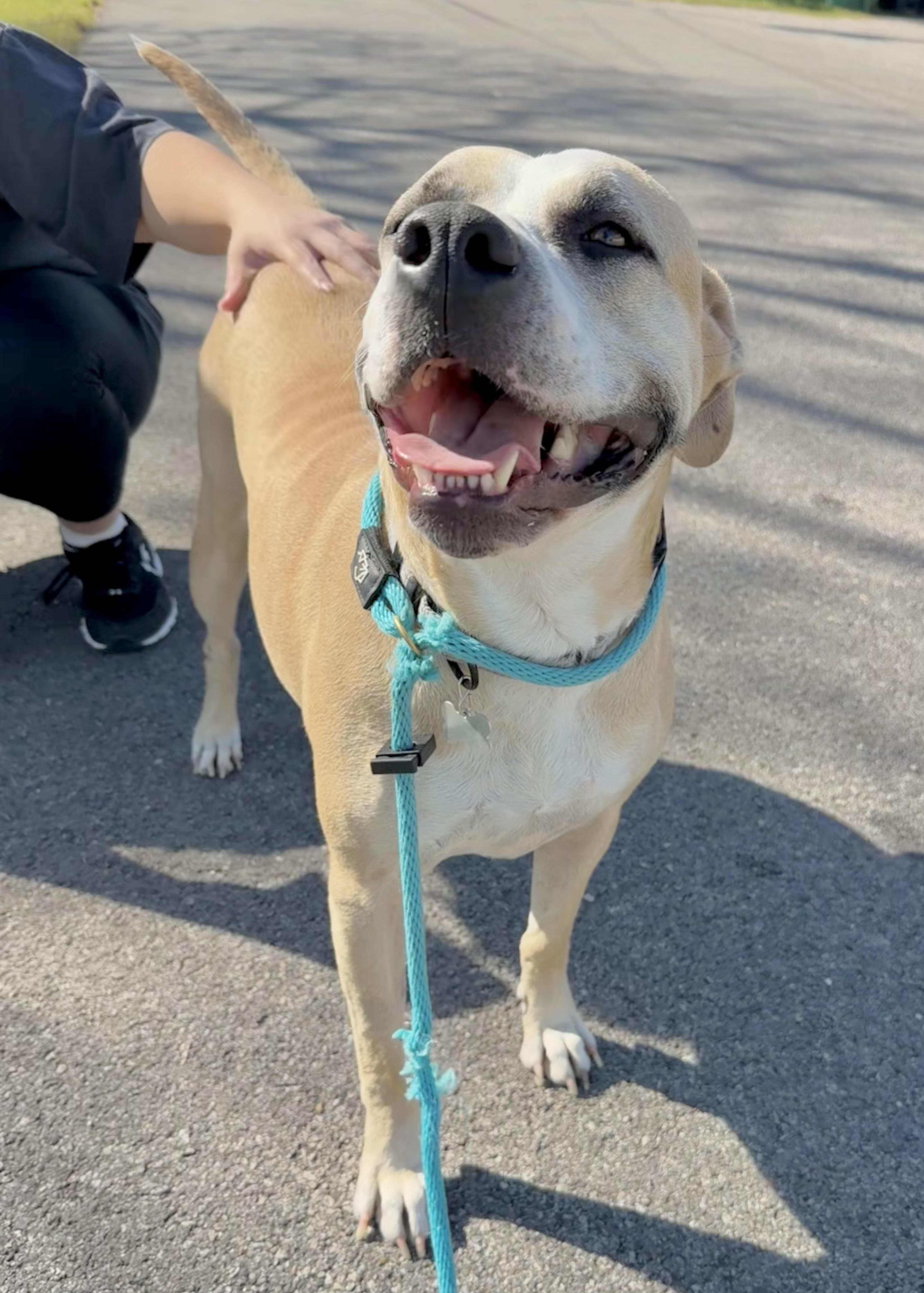 Wynn — thumbnail 5