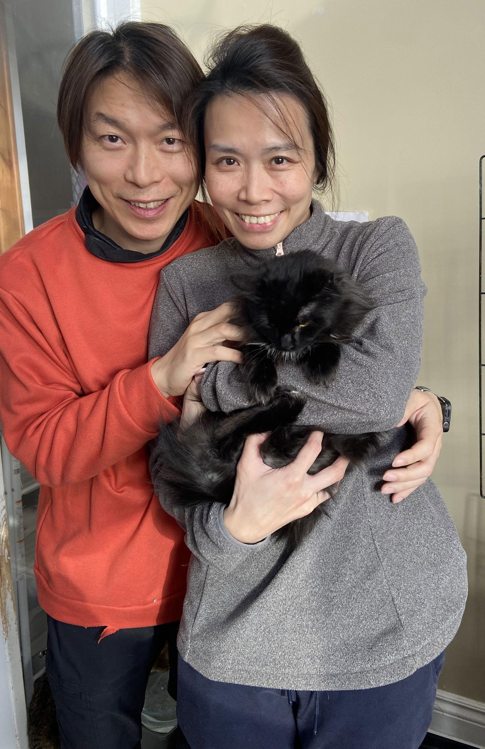 Maddie, Adopted, Young Female Domestic Long Hair.