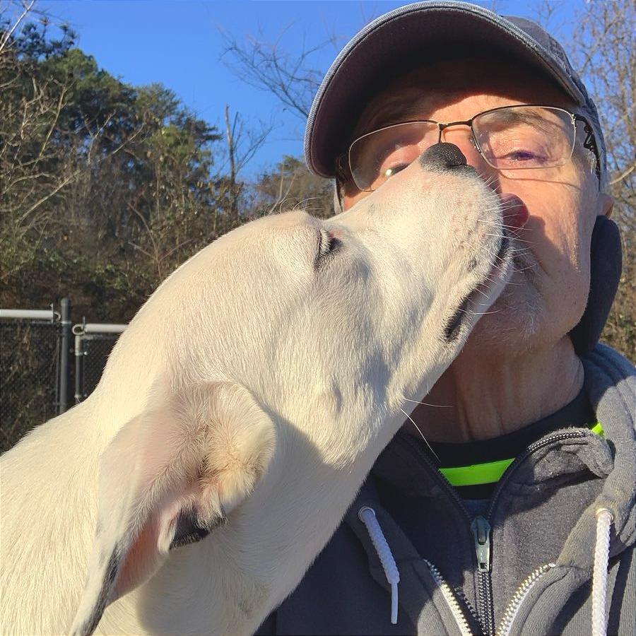 Enlarge Winnie, a Adoptable Mixed Breed in Chattanooga, TN image 3/6