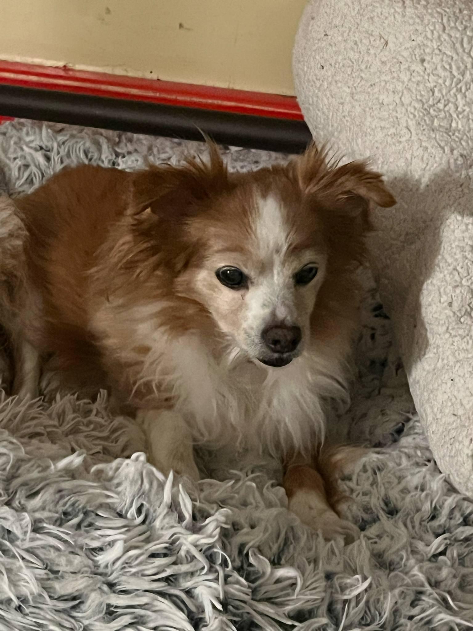 Max And Molly thumbnail 3
