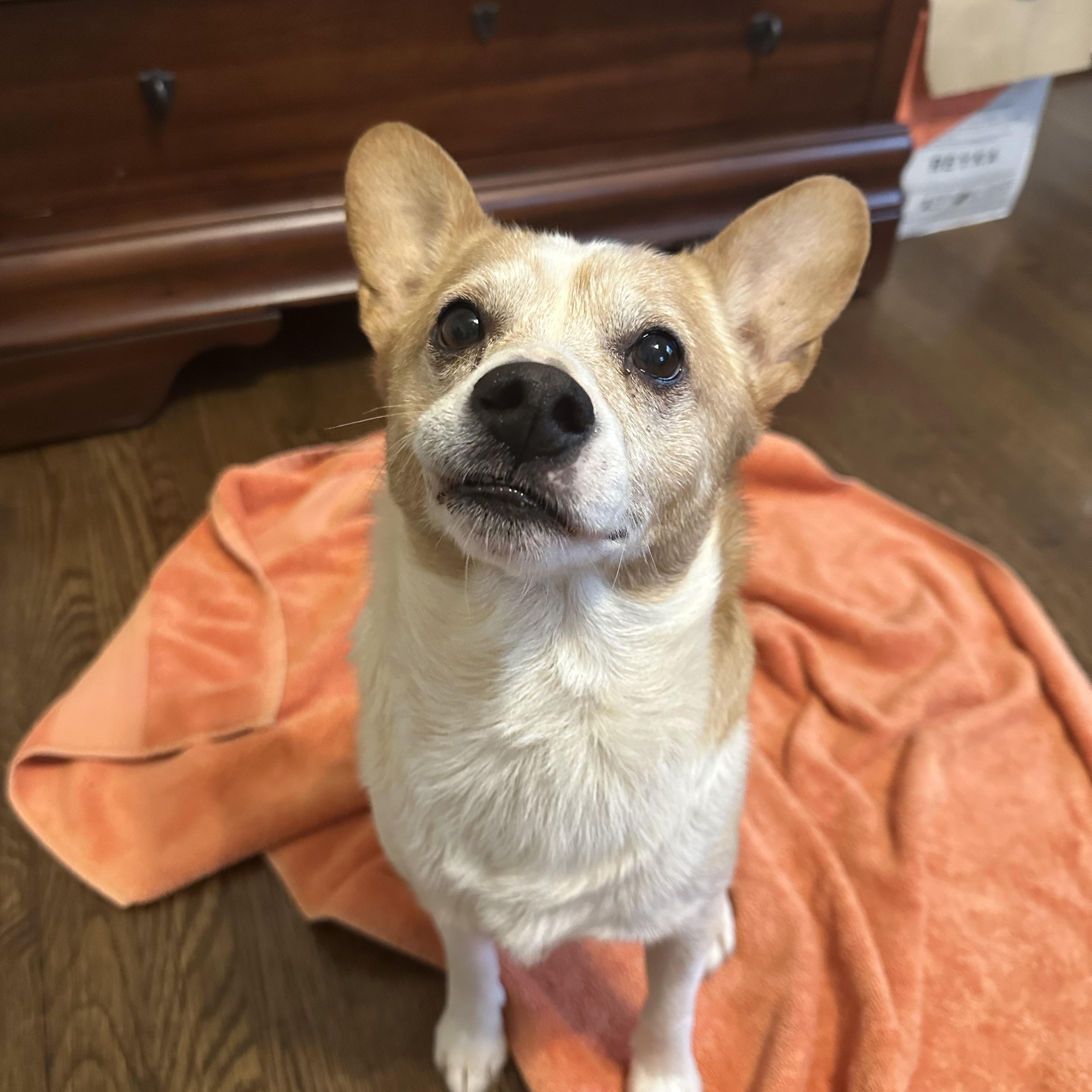 Frederick thumbnail 2