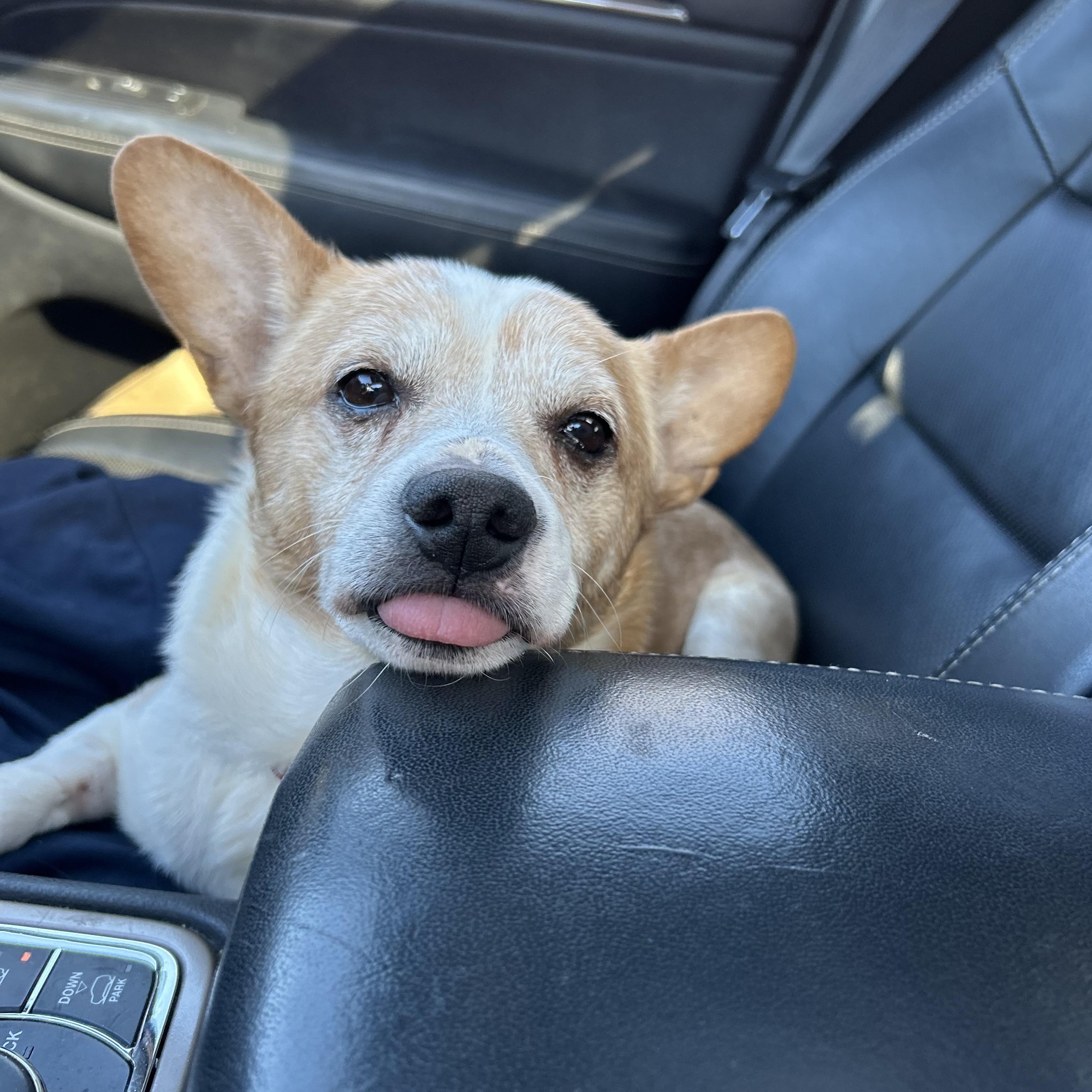 Frederick thumbnail 3