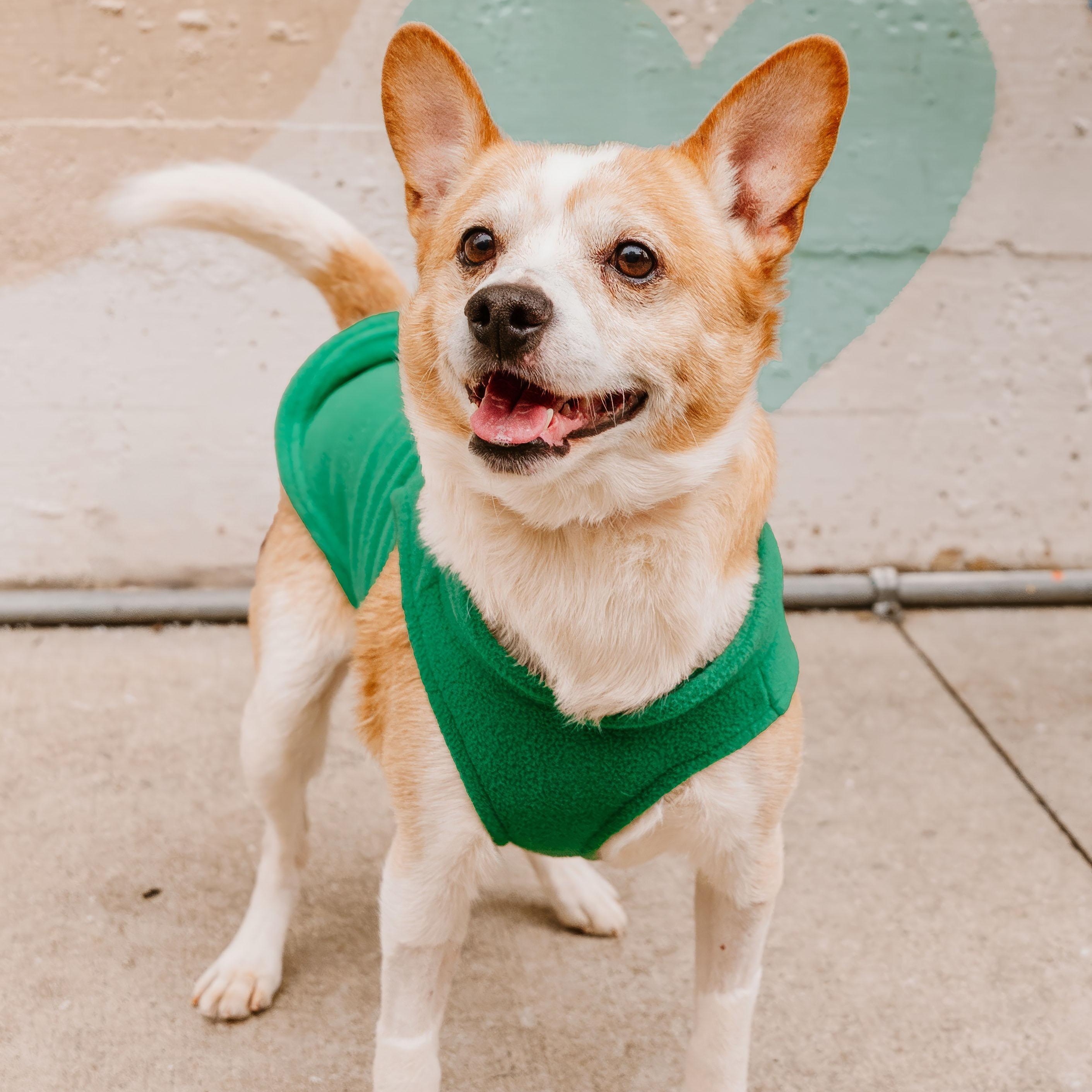 Frederick thumbnail 4