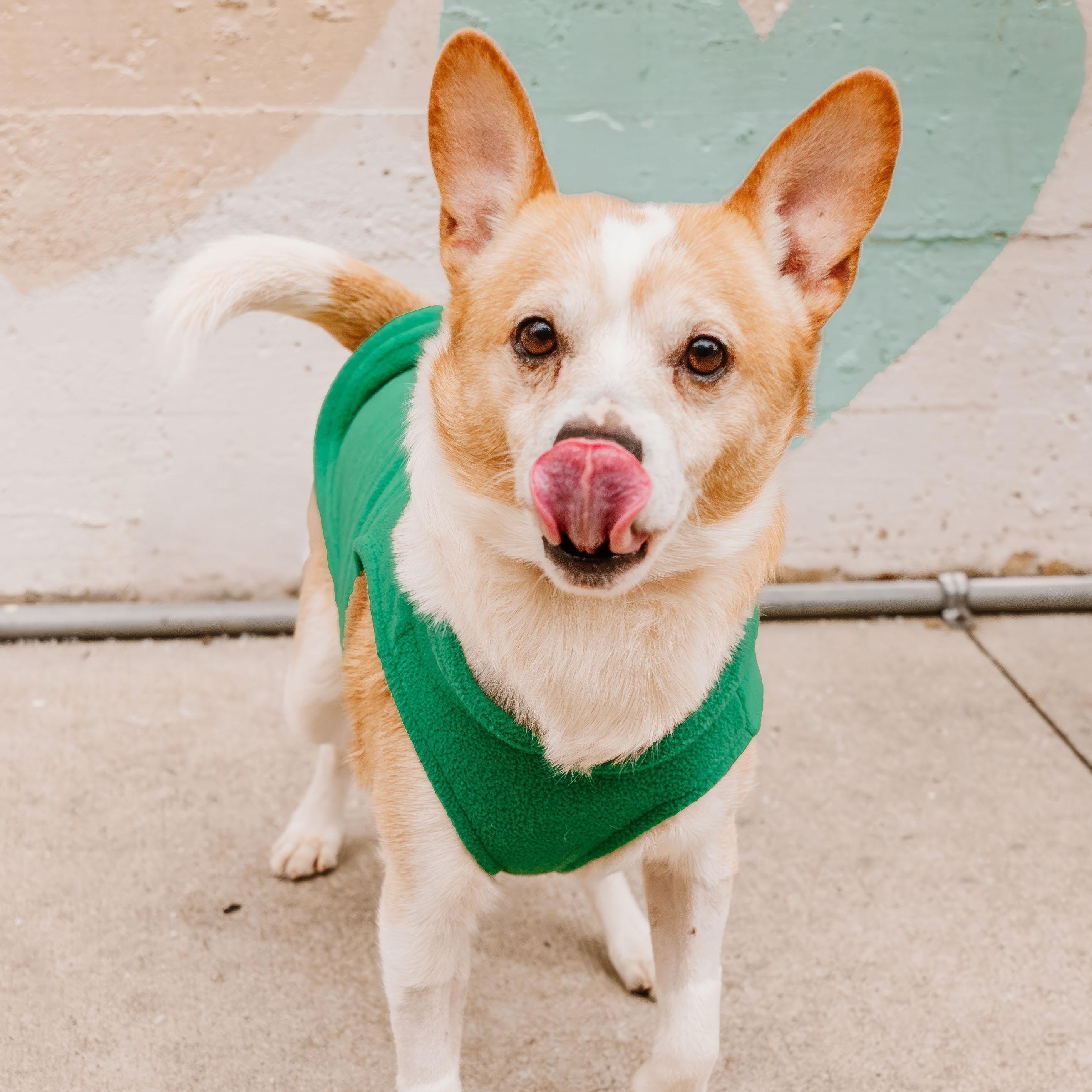 Frederick thumbnail 5