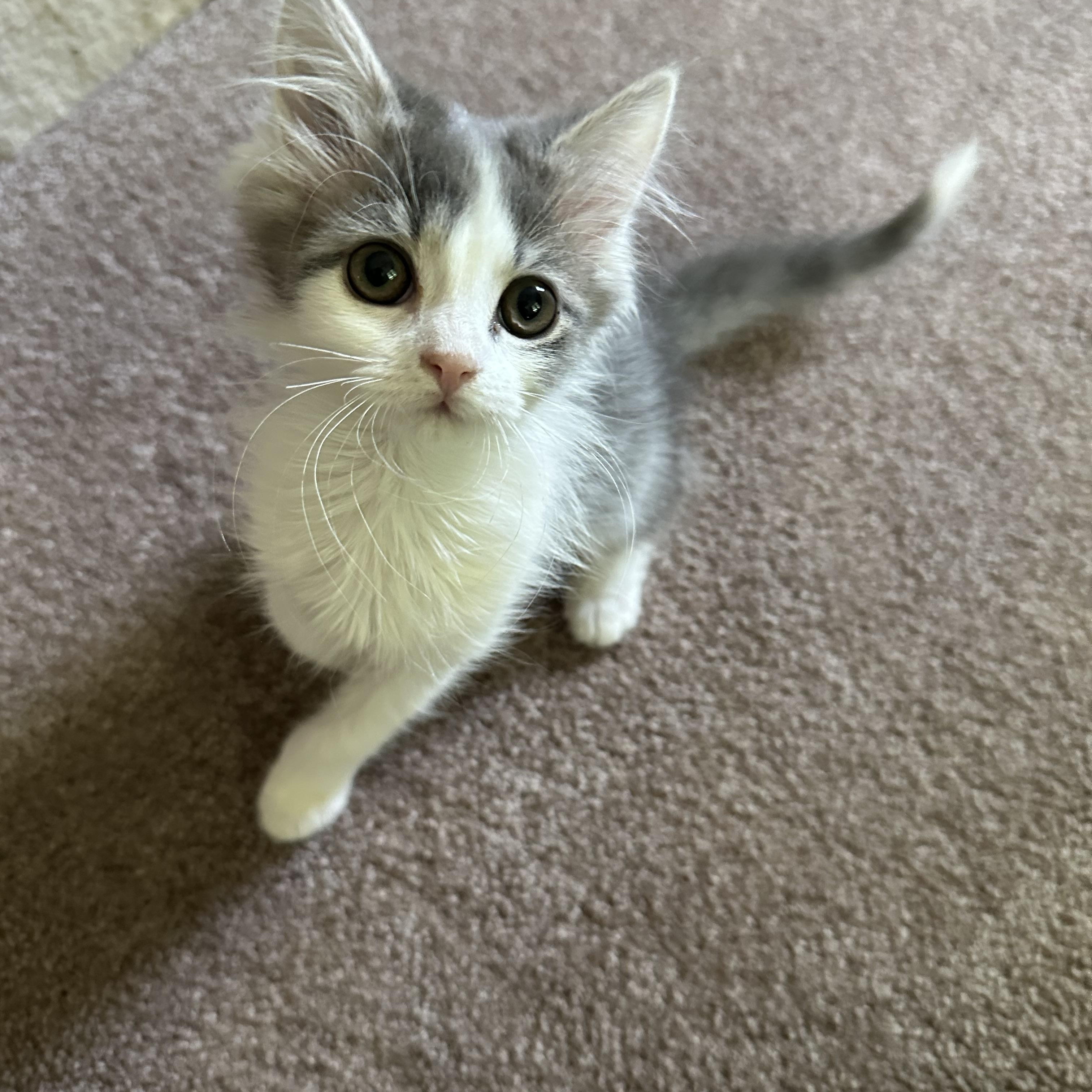 Sophie photo 2