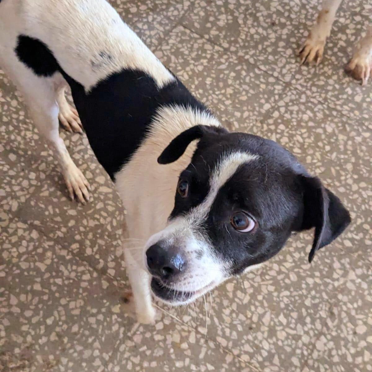 Lorenzo "let's Love." thumbnail 4