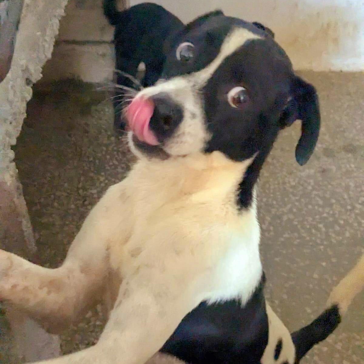 Lorenzo "let's Love." thumbnail 5