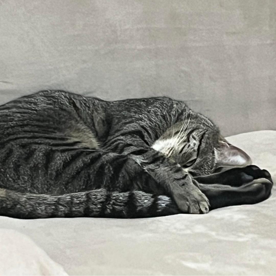 Oscar photo 5