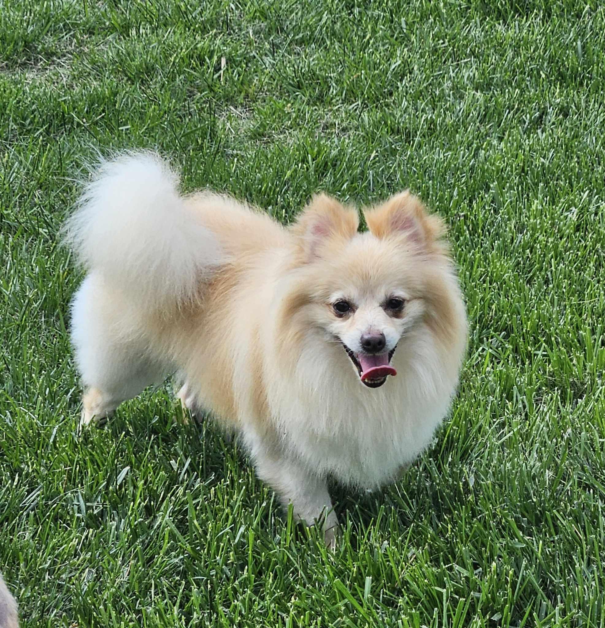 Benny photo 1