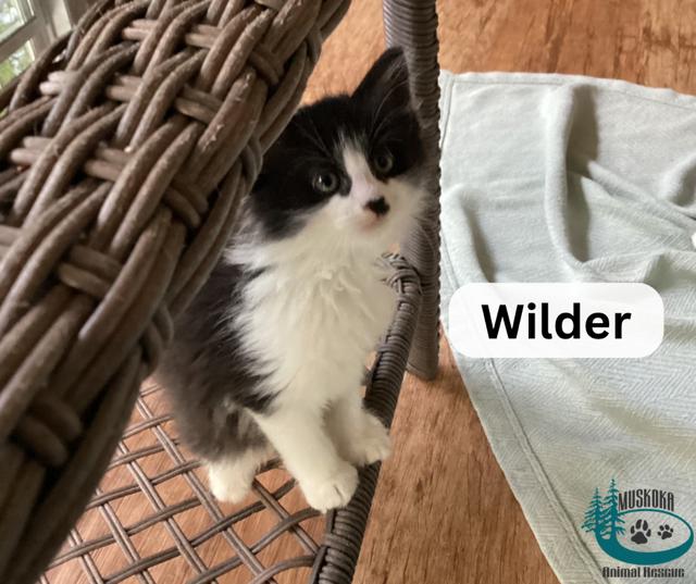 Wilder!