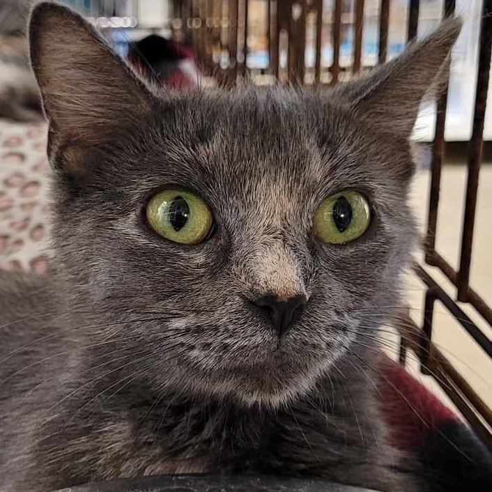 Flora — thumbnail 2