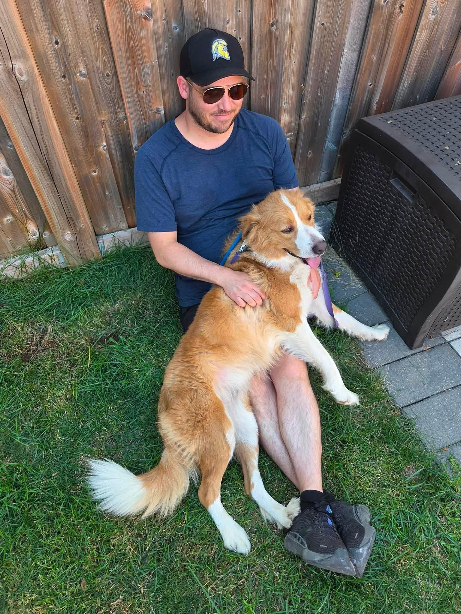 Enlarge Martha, a Adopted mixed breed in Toronto, ON image 4/6