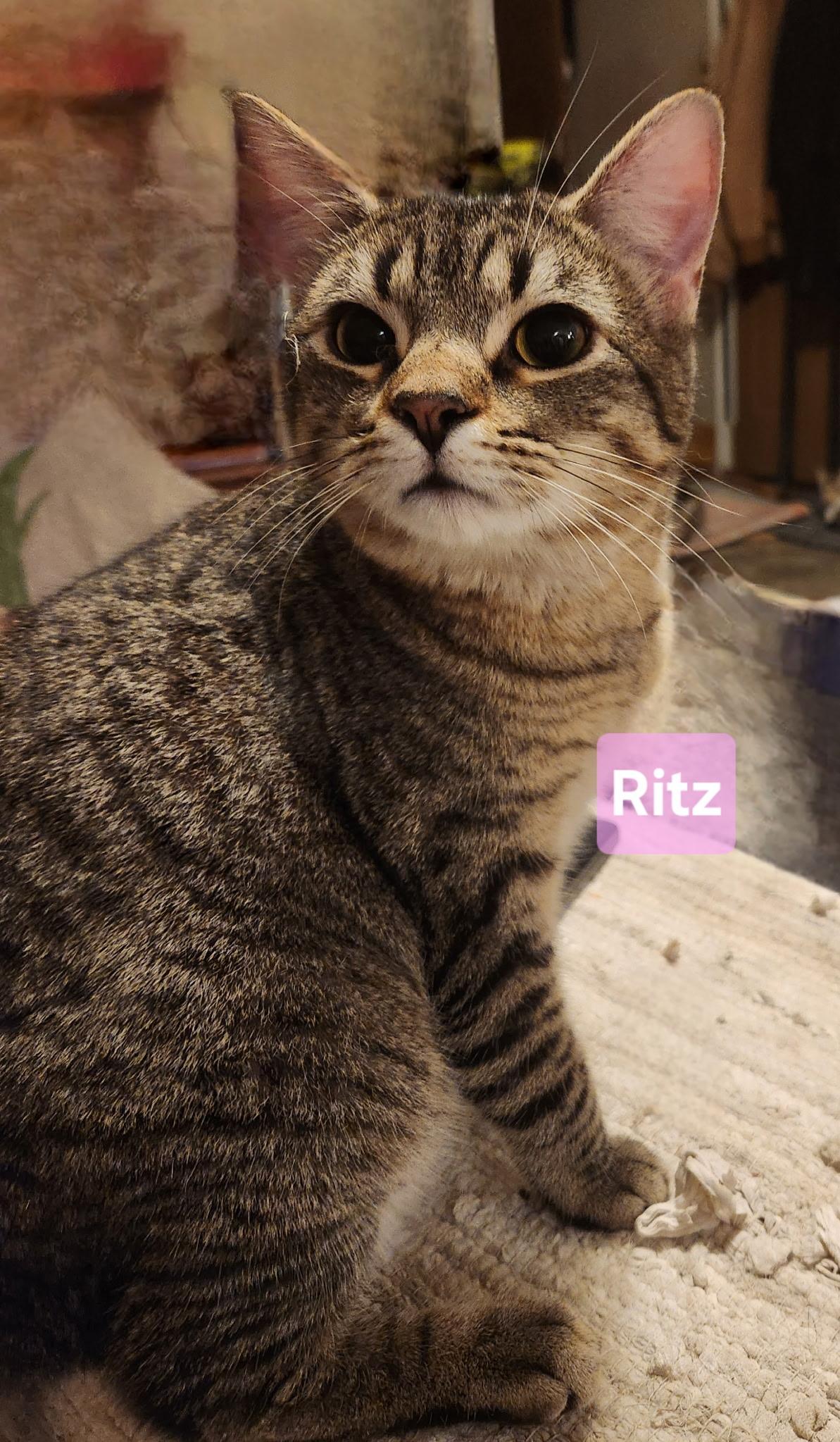 Ritz