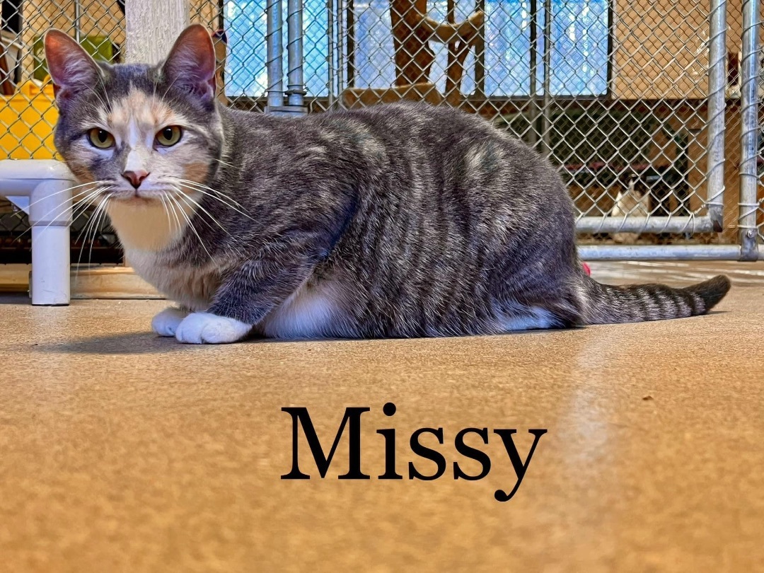 Missy