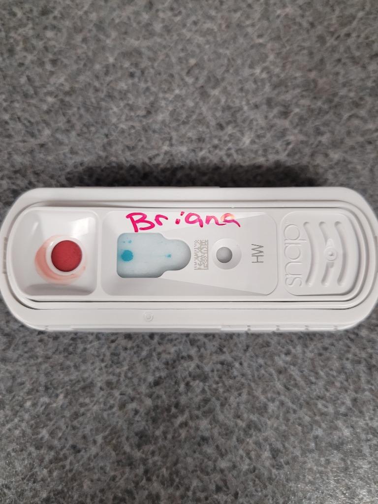 Enlarge Briana, a Adoptable American Staffordshire Terrier in Hopkinsville, KY image 2/2