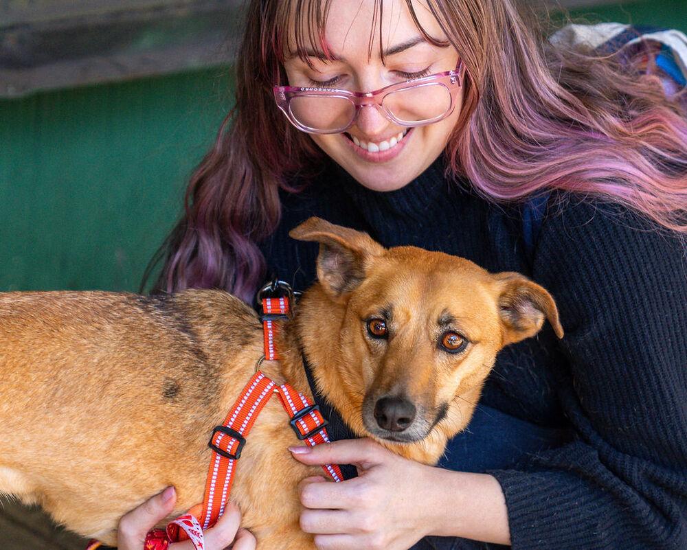 Lia, a Adoptable mixed breed in New York, NY image 2/6