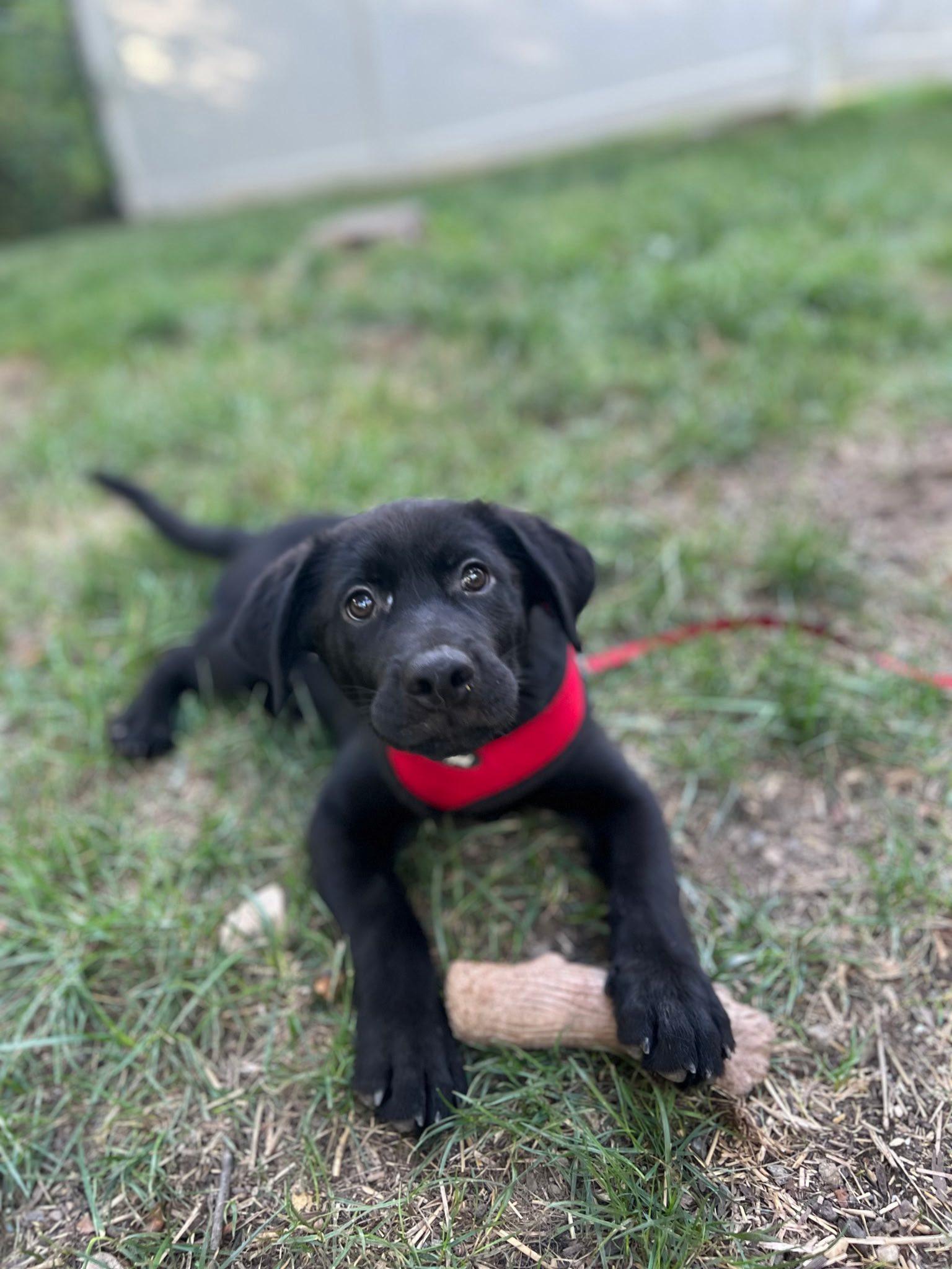 Jack