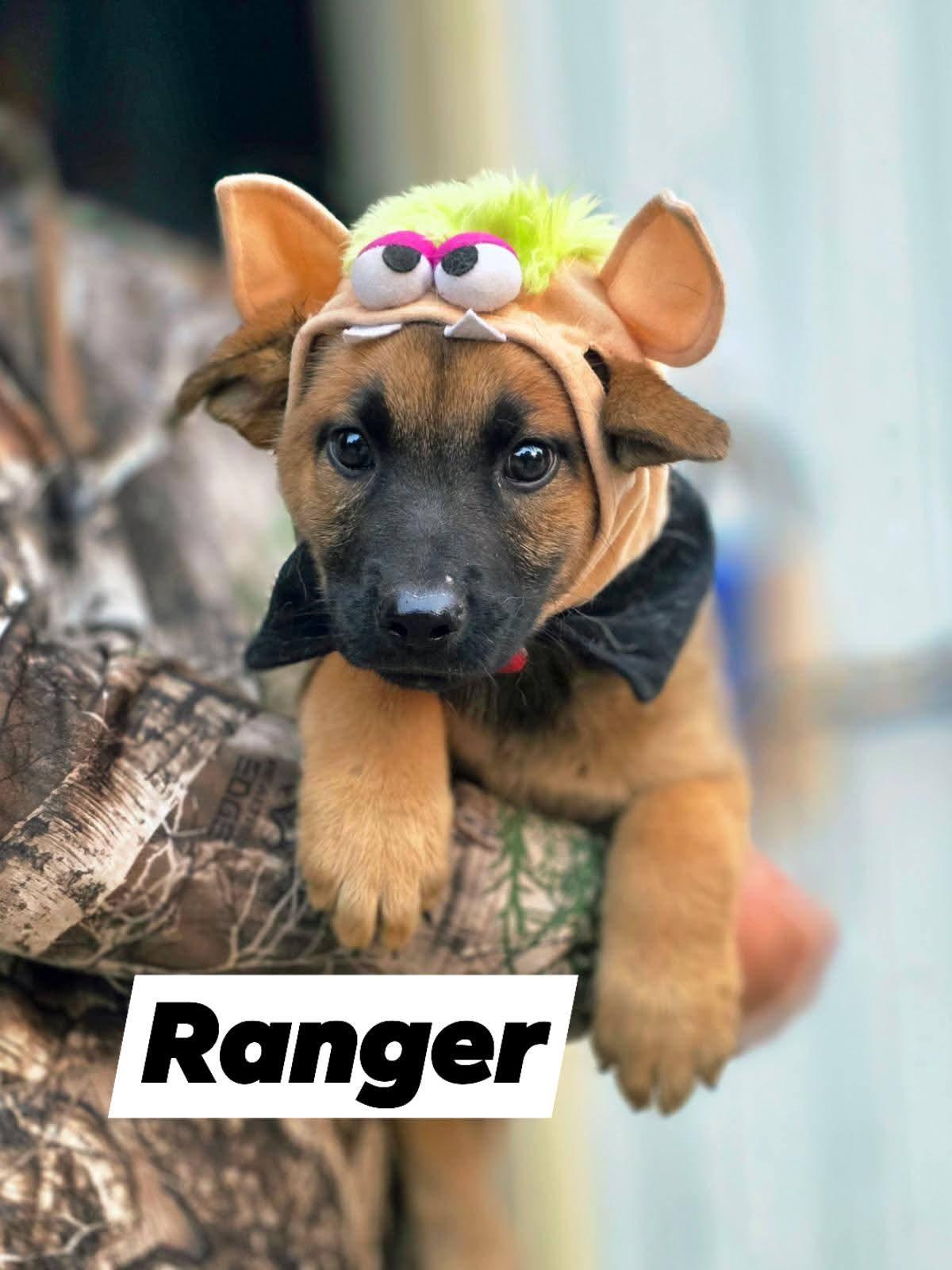 Ranger