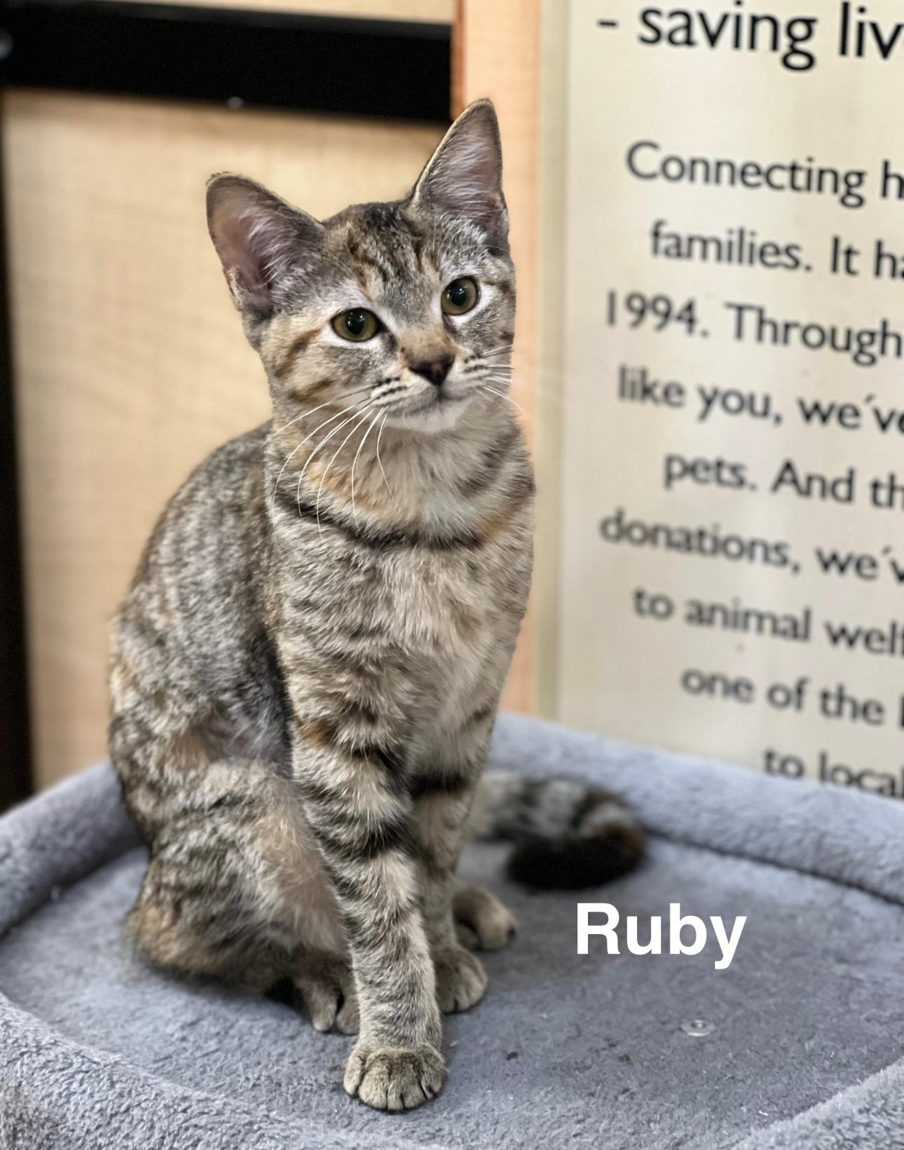 Ruby